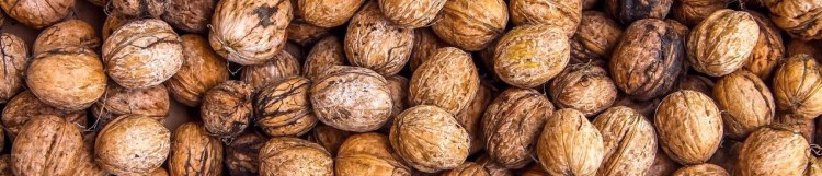 walnuts-1354819_1280