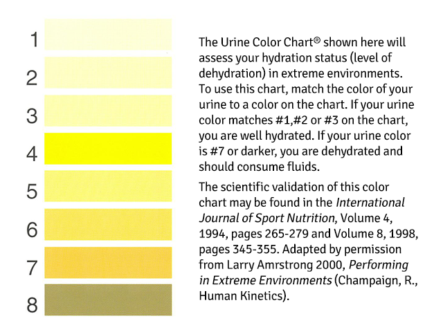 Urine color chart. Armstrong LE